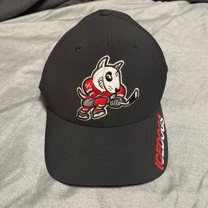 Niagara IceDogs OHL hockey hat